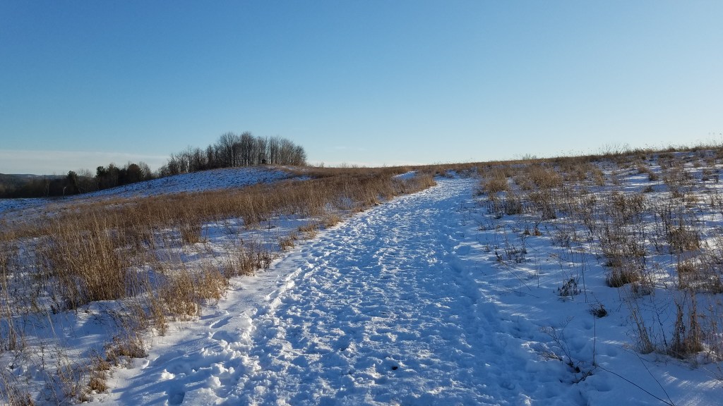 Sailing The Milky&nbsp;Way